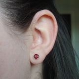 Six Prong Studs