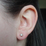 Six Prong Studs