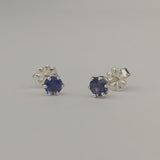 Six Prong Studs