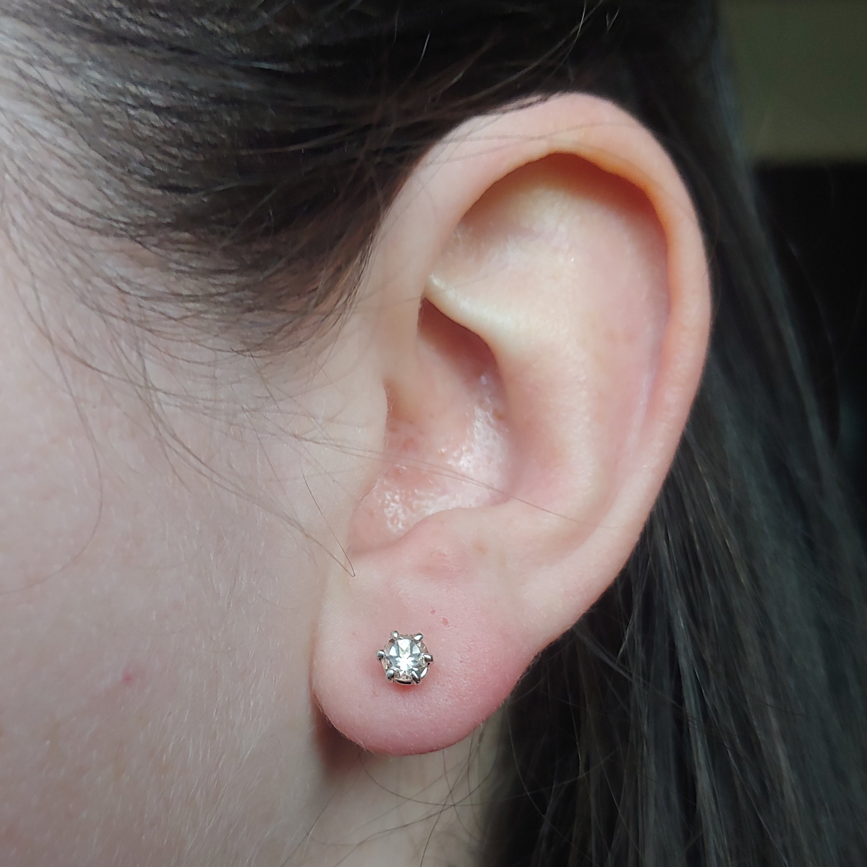 Six Prong Studs